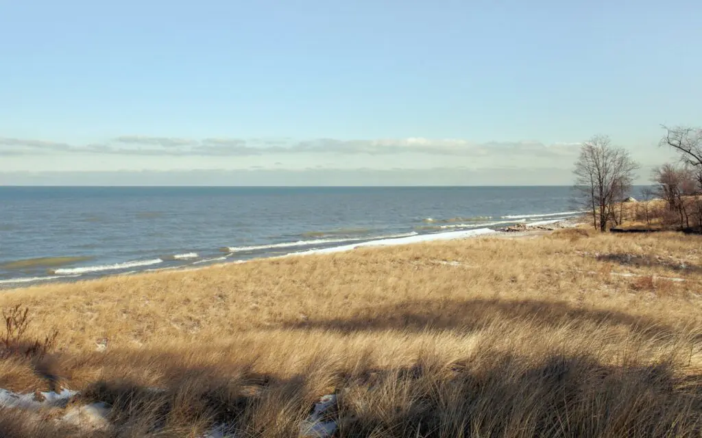 Dune grass and the Lake Michigan shoreline at Indiana Dunes National Park
