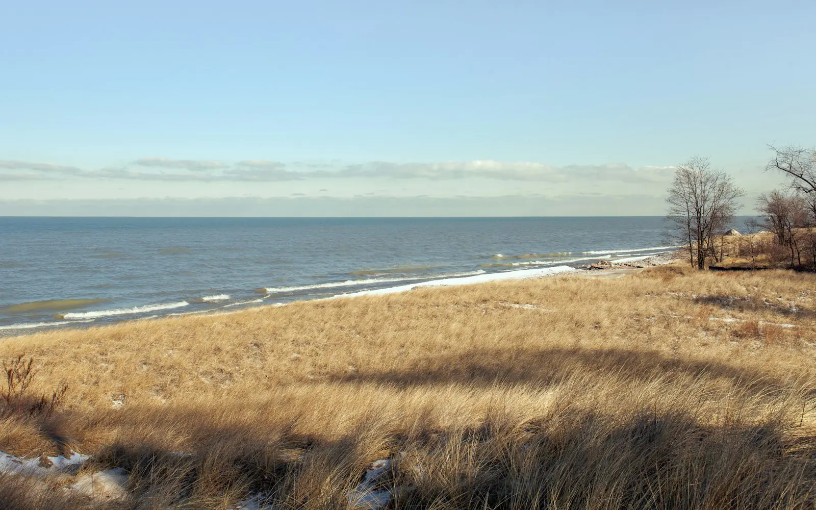 Dune grass above Lake Michigan at Indiana Dunes